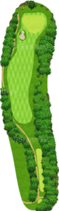 No.8