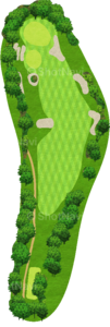No.7