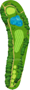 No.6