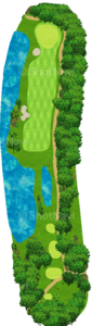 No.5