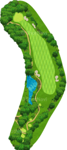 No.7